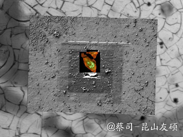 天津天津蔡司天津扫描电镜