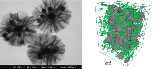 天津天津蔡司天津扫描电镜