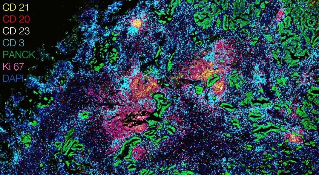 天津天津蔡司显微镜