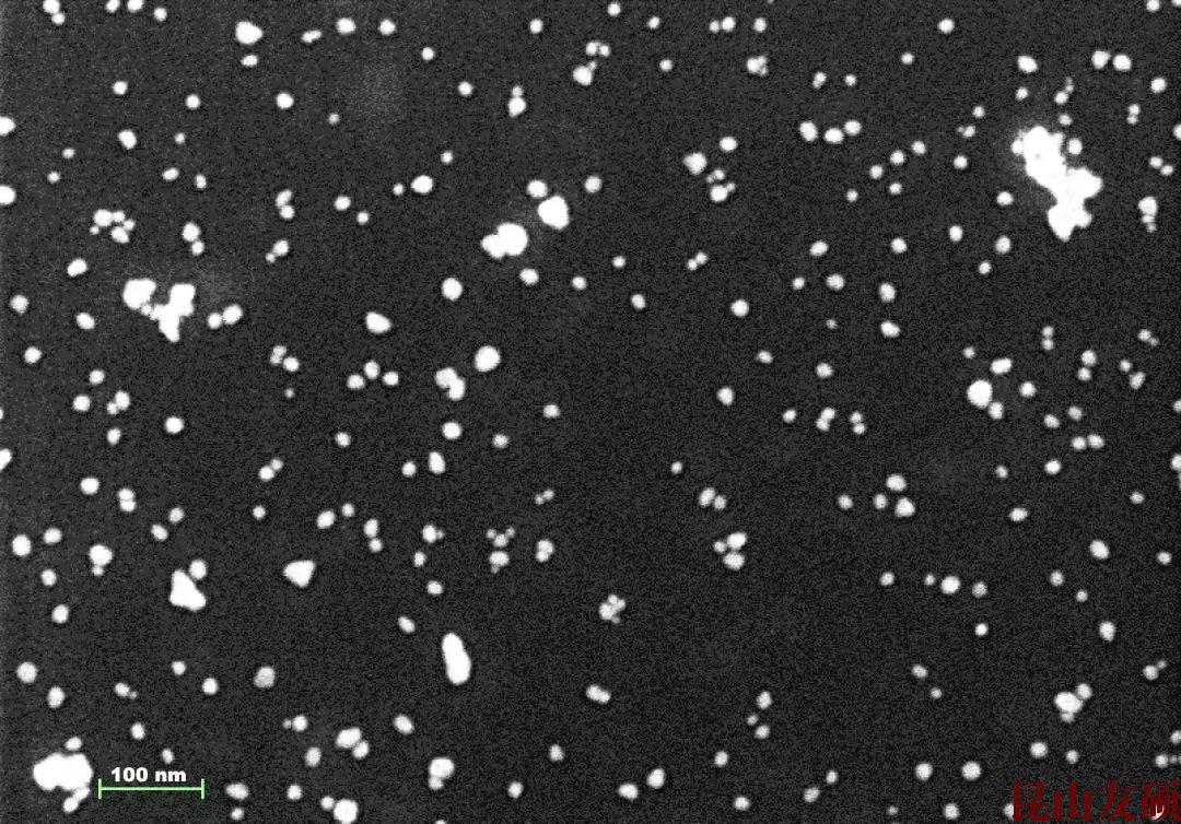 天津天津蔡司天津扫描电镜