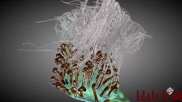 天津蔡司天津X射线显微镜